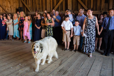 Maine Wedding Photographer